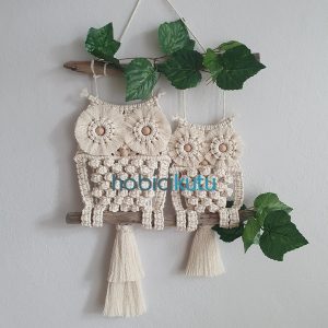 Fluffy Makrome Baykuş Ailesi